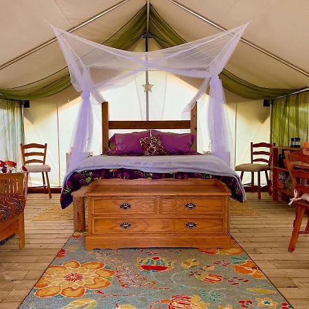 Hotel So Damn Lucky Glamping à Ucluelet Extérieur photo