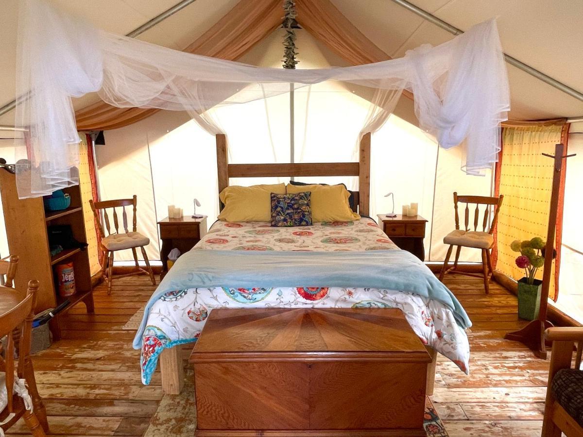 Hotel So Damn Lucky Glamping à Ucluelet Extérieur photo