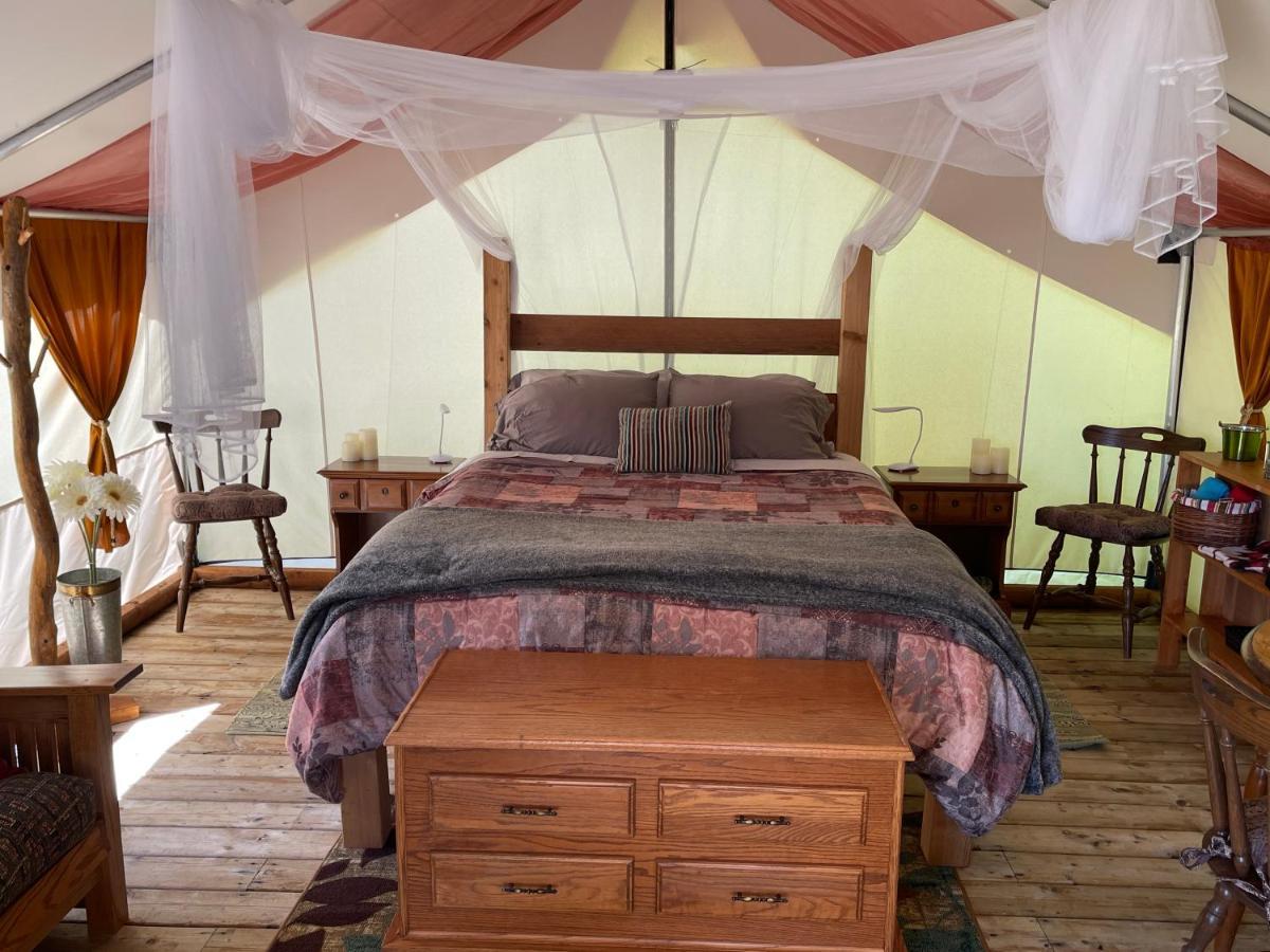 Hotel So Damn Lucky Glamping à Ucluelet Extérieur photo