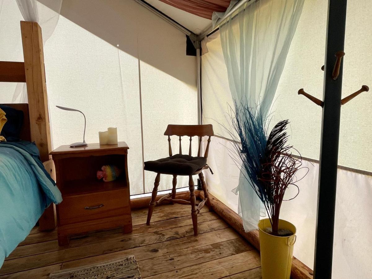 Hotel So Damn Lucky Glamping à Ucluelet Extérieur photo