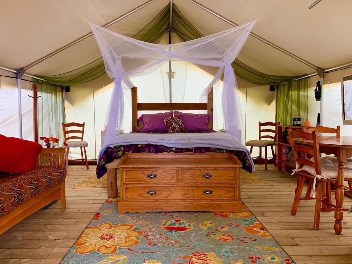 Hotel So Damn Lucky Glamping à Ucluelet Extérieur photo